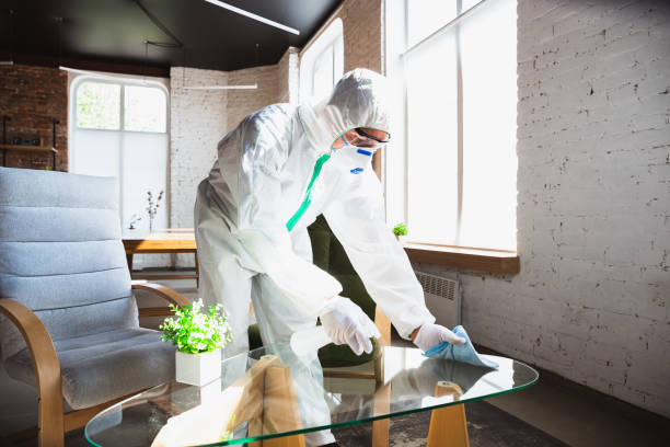 Why You Should Choose Our Mold Remediation Services in Gainesville, GA